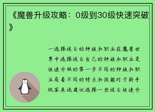《魔兽升级攻略：0级到30级快速突破》